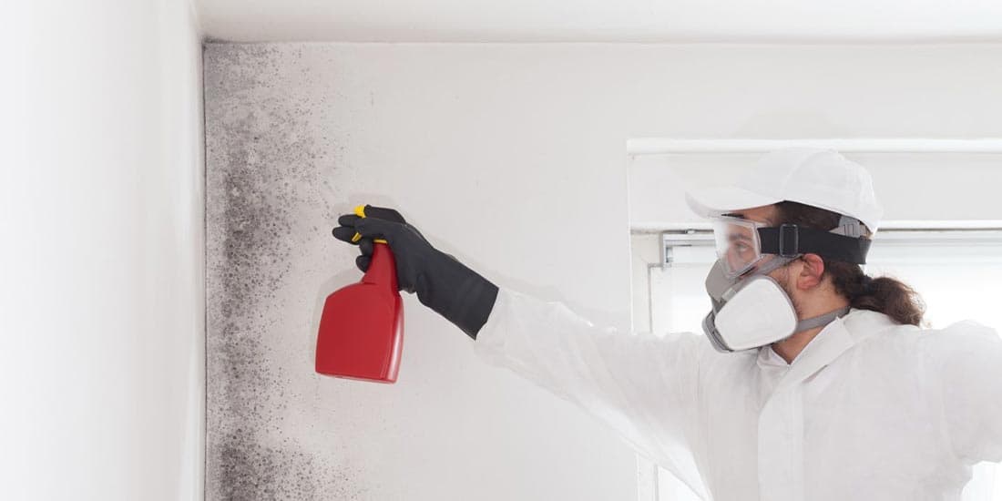 Professional air duct cleaning