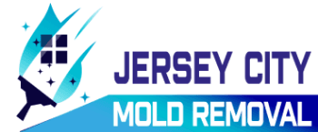 Jerseycity Mold

 - 